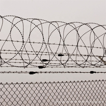 50mm*50mm Galvanized PVC coated Chain Link Fence